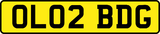 OL02BDG