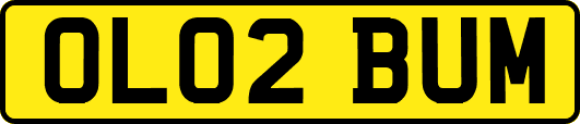 OL02BUM