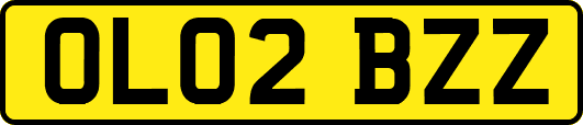 OL02BZZ