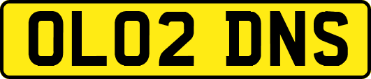 OL02DNS