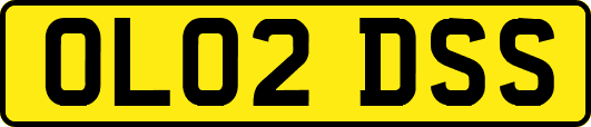 OL02DSS