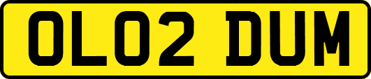OL02DUM