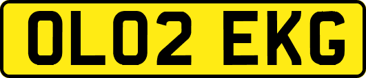 OL02EKG