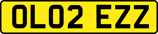 OL02EZZ