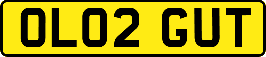 OL02GUT