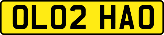 OL02HAO