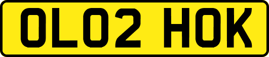OL02HOK
