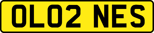 OL02NES