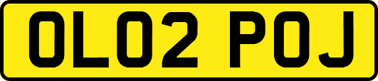 OL02POJ