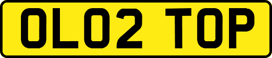 OL02TOP