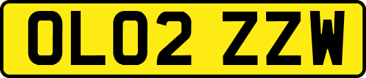 OL02ZZW