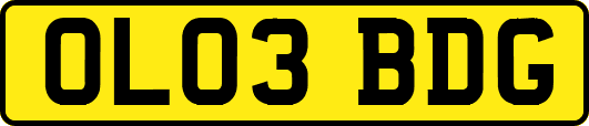 OL03BDG