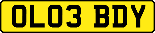 OL03BDY