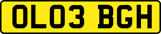 OL03BGH