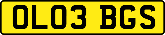 OL03BGS
