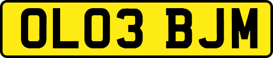 OL03BJM