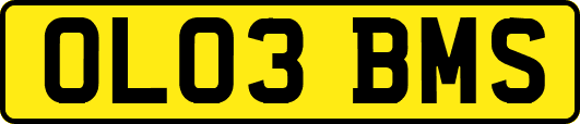 OL03BMS