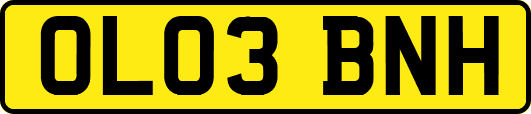 OL03BNH