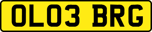 OL03BRG