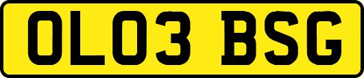 OL03BSG