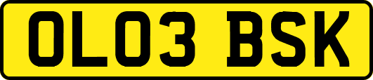 OL03BSK