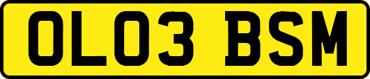 OL03BSM