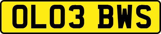OL03BWS