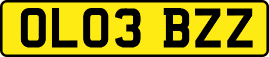 OL03BZZ