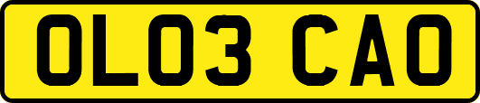 OL03CAO