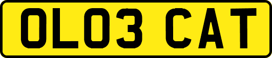 OL03CAT
