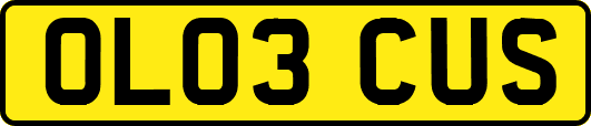 OL03CUS