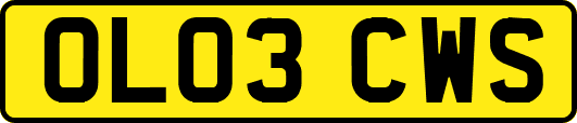 OL03CWS