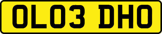OL03DHO