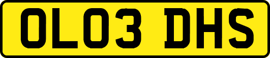 OL03DHS