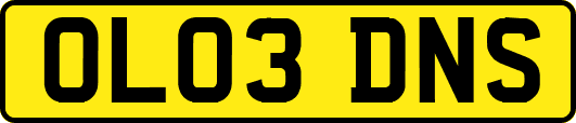 OL03DNS