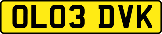OL03DVK