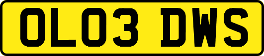 OL03DWS