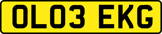 OL03EKG