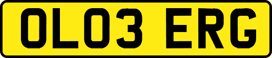 OL03ERG