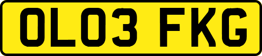 OL03FKG