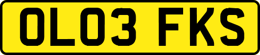 OL03FKS