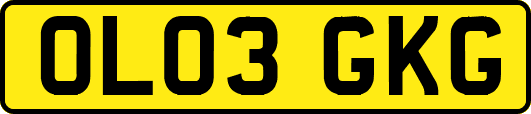 OL03GKG