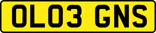 OL03GNS