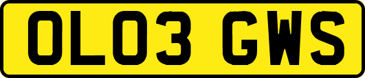 OL03GWS