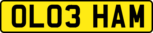 OL03HAM