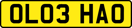OL03HAO