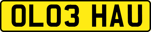 OL03HAU