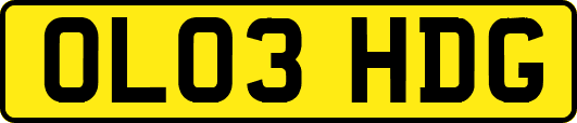 OL03HDG