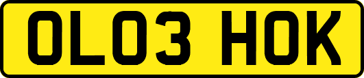 OL03HOK