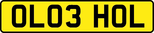 OL03HOL